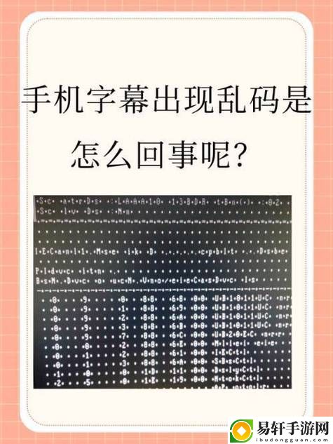 解决中文字字幕乱码问题的小技巧