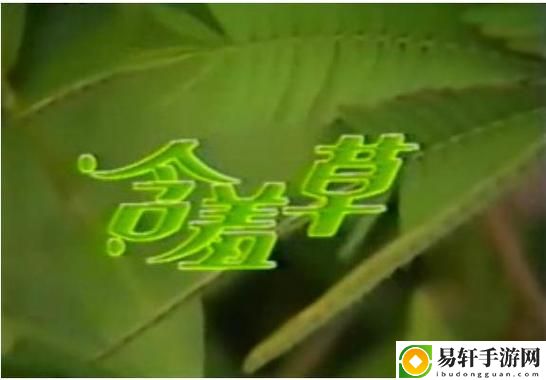 含羞草免费观看电视剧的背景故事国产上线，网友表示：