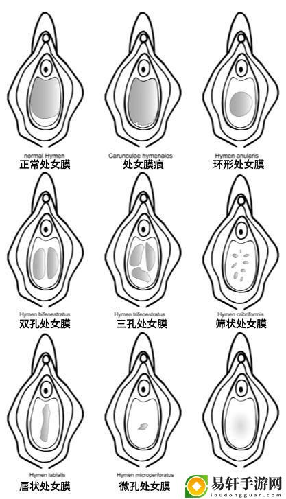 处破女处破全过第一次