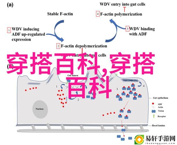 电梯深度开发1v6笔趣阁1v2