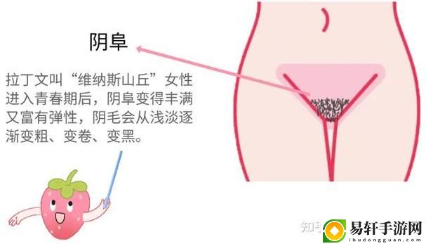  大荫蒂BBBBBB大荫蒂的奇妙探险之旅