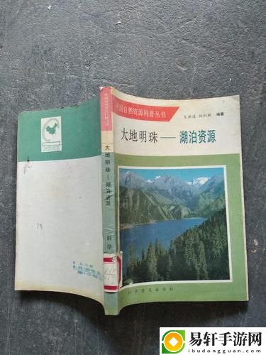 大地资源二中文第二页免费看，网友评价：内容精彩引发热议