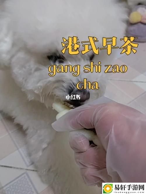 欧美人和禽类胶配方大全