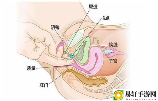 大荫蒂bbbbbb大荫蒂，网友表示：生活需要更多真实的表达