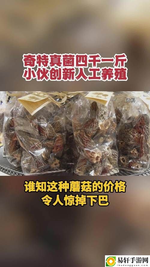 成人蘑菇国产免费，用户评论：带你走进字里行间的独特魅力