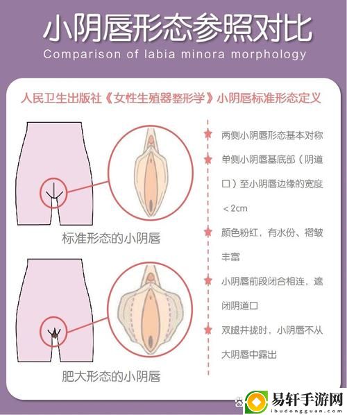 男女下面一进一出软件上线，网友：这可是迈向新阶段的开端！