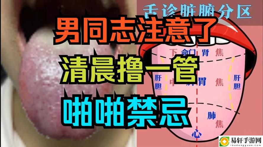 探索“男人的伸到里擼擼社网站”：社交与共享的全新体验